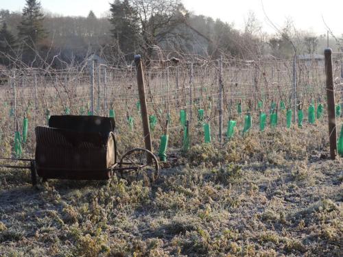Domaine