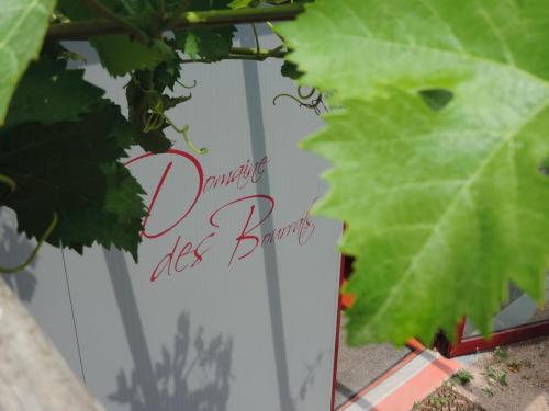 Domaine